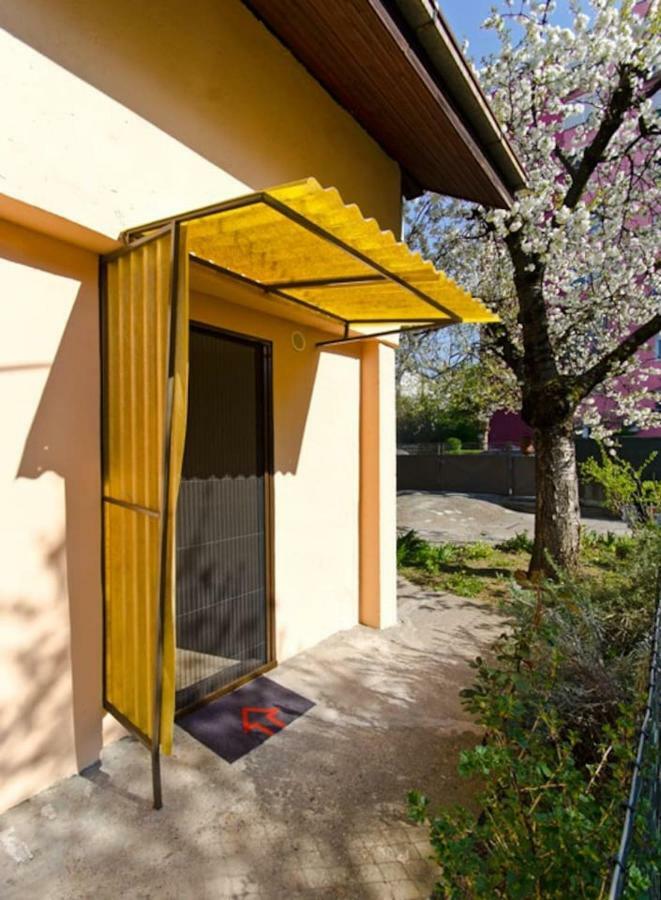Cherry Tree Art House 베오그라드 외부 사진